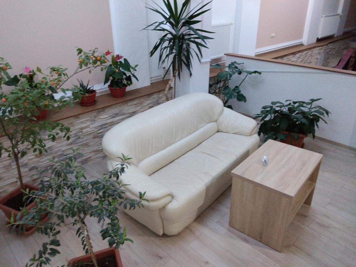 Pensiunea Casa Rusu Бая-Маре Экстерьер фото