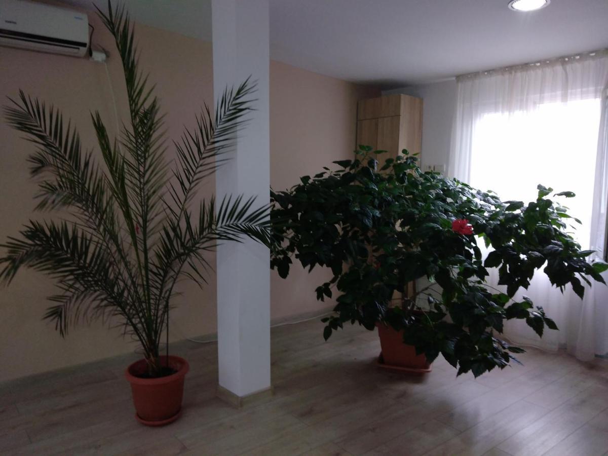 Pensiunea Casa Rusu Бая-Маре Экстерьер фото